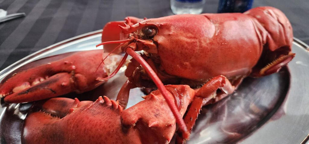 homard