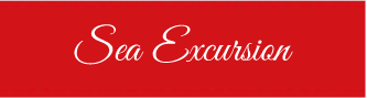 sea excursion